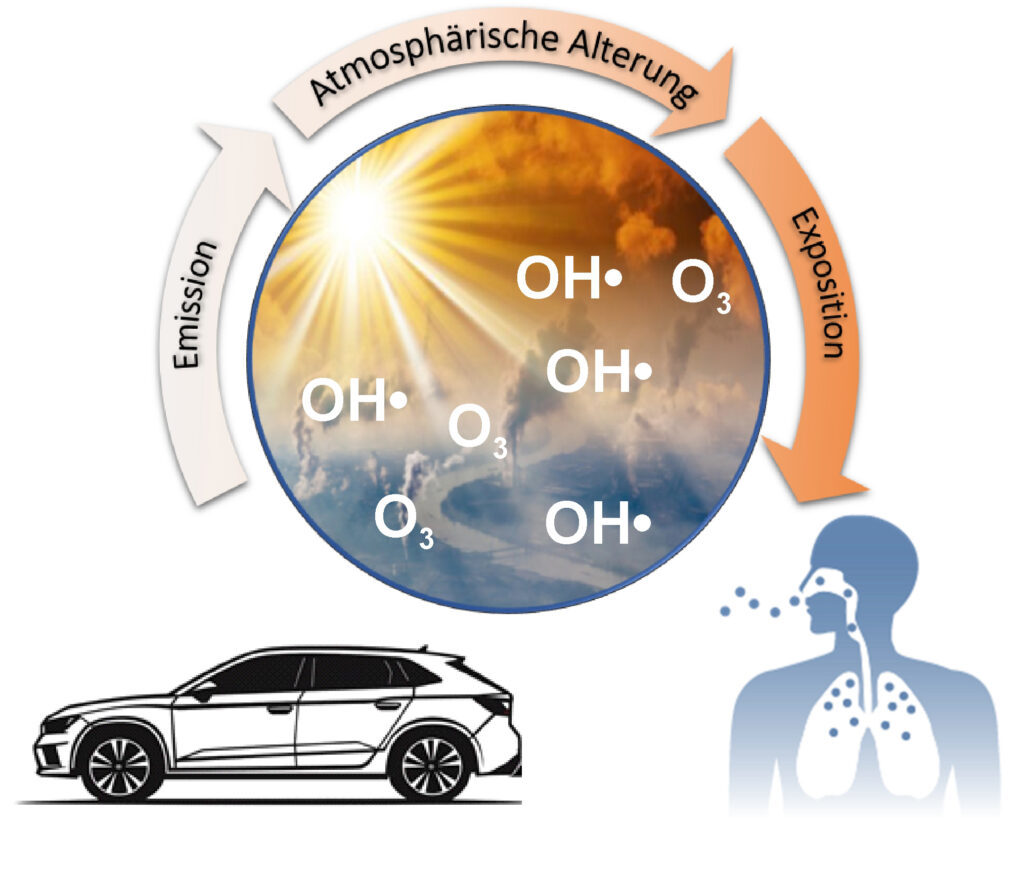 Autoabgase werden in der Atmosphäre durch Hydroxylradikale und Ozon aus der Photochemie zu sekundärem Feinstaub umgewandelt. © Dr. Hendryk Czech / Universität Rostock