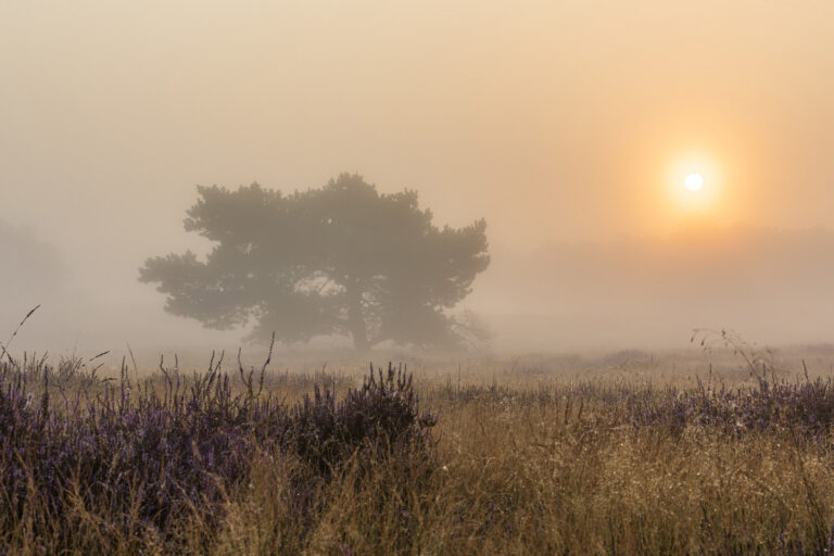 Klimapolitik allein reicht nicht aus