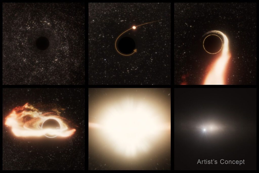In sechs Schritten: Schwarzes Loch treibt durch die Galaxie, erfasst einen Stern, spaghettifiziert ihn, bildet eine Scheibe, strahlt Energie aus – fern vom Zentrum. © NASA, ESA, STScI, Ralf Crawford (STScI)