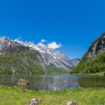 Klimawandel in den Alpen: Wenn der Frühling zu früh kommt.