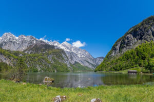 Klimawandel in den Alpen: Wenn der Frühling zu früh kommt.
