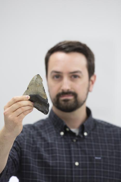 Jeremy McCormack, einer der an der Studie beteiligten Forscher, mit einem fossilen Megalodon-Zahn. © Uwe Dettmar für die Goethe-Universität Frankfurt