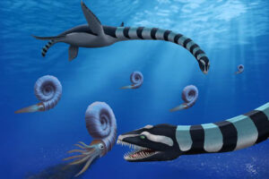 Traskasaura sandrae: Rätsel um urzeitlichen Tiefsee-Räuber gelöst