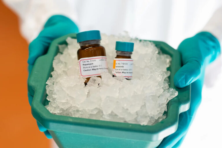 Rapamycin und Trametinib verlängern das Leben um ein Drittel