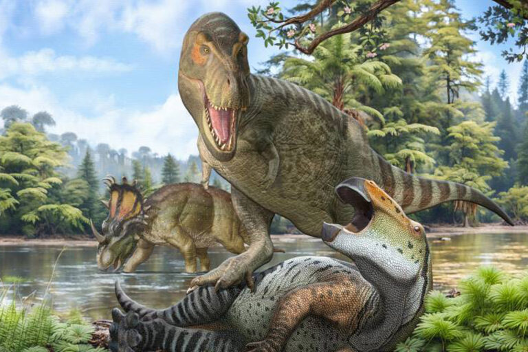 Er kam aus Asien – Was Forscher über T-Rex herausfanden