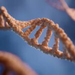 RNA-Moleküle gelten als mögliche Urform des Lebens – sie speichern Information und treiben chemische Prozesse voran.