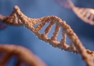 RNA-Moleküle gelten als mögliche Urform des Lebens – sie speichern Information und treiben chemische Prozesse voran.