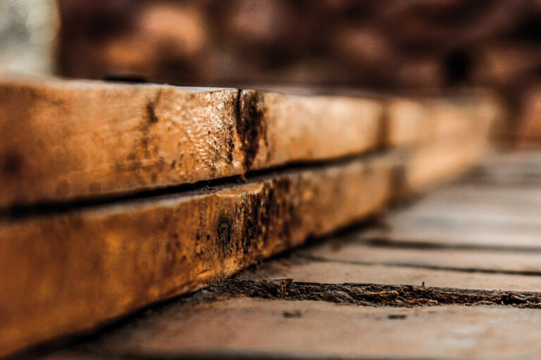 Stärker als Stahl: Forscher entwickeln „Superholz“