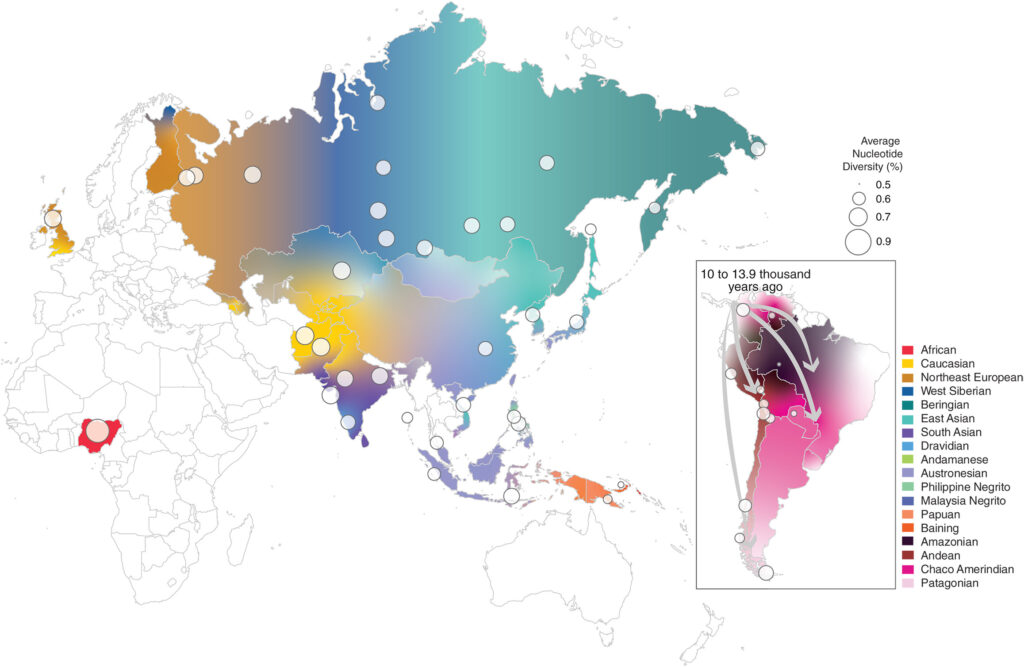 Die Farben stellen genetische Abstammungen dar, die anhand von Daten aus der Gesamt-Genom-Sequenzierung (WGS) heutiger menschlicher Populationen geschätzt wurden. Die Kreisgröße zeigt die durchschnittliche Nukleotiddiversität jeder Population an. © Science