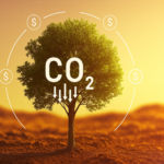 Neue Vorgabe nötig: Wie die CO2-Entnahme gesteuert werden soll