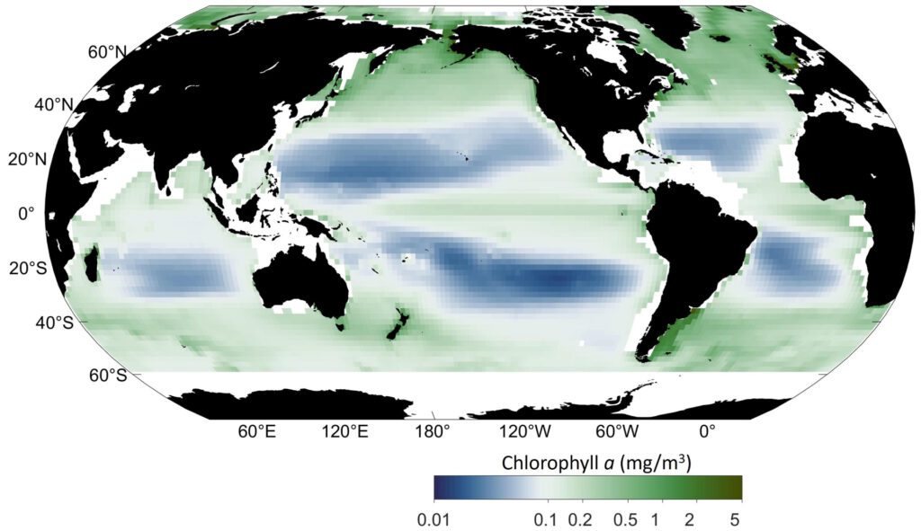 Die Konzentration des grünen Pigments Chlorophyll in den Weltmeeren verändert sich. Dies hat nicht nur einen Einfluss auf die Farbe der Meere, sondern auch auf deren Ökosysteme. © Haipeng Zhao