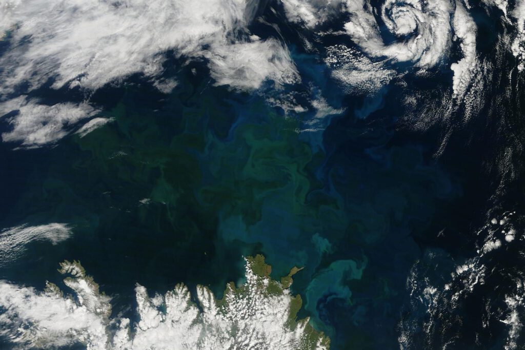 Ozeane ändern ihre Farbe: Polarmeere blühen, Tropen verblassen