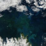 Ozeane ändern ihre Farbe: Polarmeere blühen, Tropen verblassen