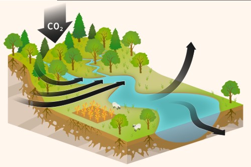 Die Abbildung zeigt den globalen Kohlenstoffkreislauf: Bäume und Pflanzen nehmen CO2 auf, während es über tiefe und flache Bodenschichten aus Flüssen zurück in die Atmosphäre gelangt. © University of Bristol