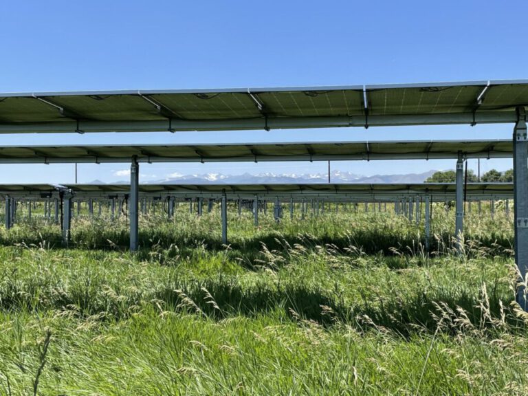Überraschung bei Dürre – Solaranlagen bringen das Gras zurück