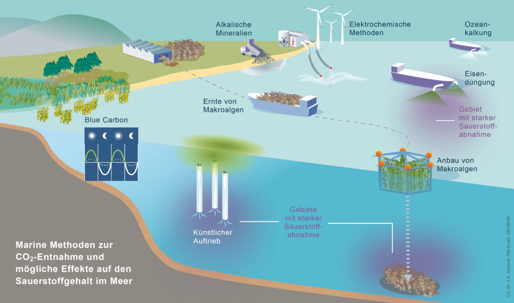 Marine CO2-Entnahmemethoden und ihre möglichen Auswirkungen auf den Sauerstoffhaushalt: Besonders biologische Methoden, bei denen Biomasse im Meer zersetzt wird, würden den Sauerstoffgehalt erheblich verringern. © Rita Erven, GEOMAR