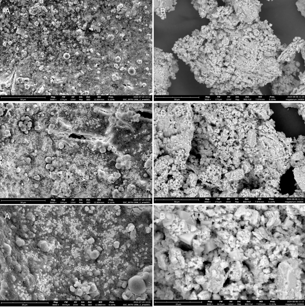 CA-Test: Rasterelektronenmikroskopische Aufnahmen bei 3000x, 5000x und 8000x Vergrößerung; (A) Pellet aus frischer Probe, (B) Pellet nach Trocknung und Waschung. © Studie