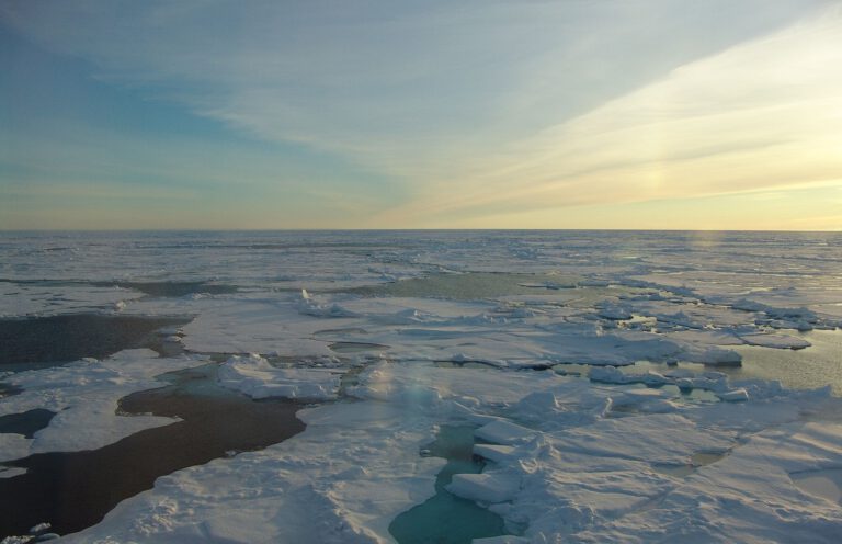 Wissenschaftler schlagen Alarm: Ungewöhnlich wenig Meereis in der Arktis könnte den Polarwirbel stören – mit Folgen für das Winterwetter in Europa.
