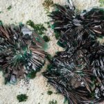 Magnetkühlung statt Klimagase: Was Atacamit möglich macht