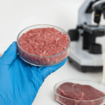 Gezüchtetes Fleisch wird zur echten Steak-Alternative: Im Labor wächst Muskelfleisch, das aussieht, schmeckt und wirkt wie Rind – ganz ohne Schlachtung.