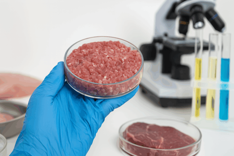 Gezüchtetes Fleisch wird zur echten Steak-Alternative: Im Labor wächst Muskelfleisch, das aussieht, schmeckt und wirkt wie Rind – ganz ohne Schlachtung.