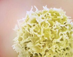 Zwei HIV-Medikamente stoppen im Versuch erstmals die Ausbreitung eines lebensbedrohlichen Virus, der Lähmungen, Leukämie und Lungenschäden auslöst.