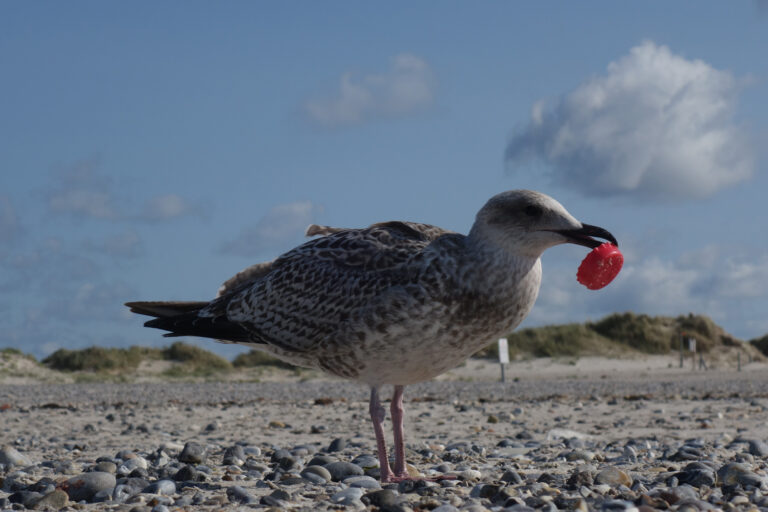 Forscher stoßen im Nordatlantik auf Unmengen Nanoplastik