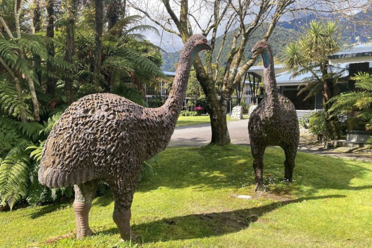 Wiederbelebung des Riesenmoa: Genfirma sorgt für heikle Debatte