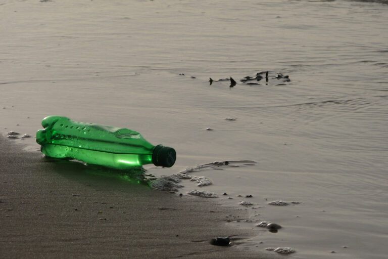 Bakterien liefern Material, das Plastik ersetzen könnte