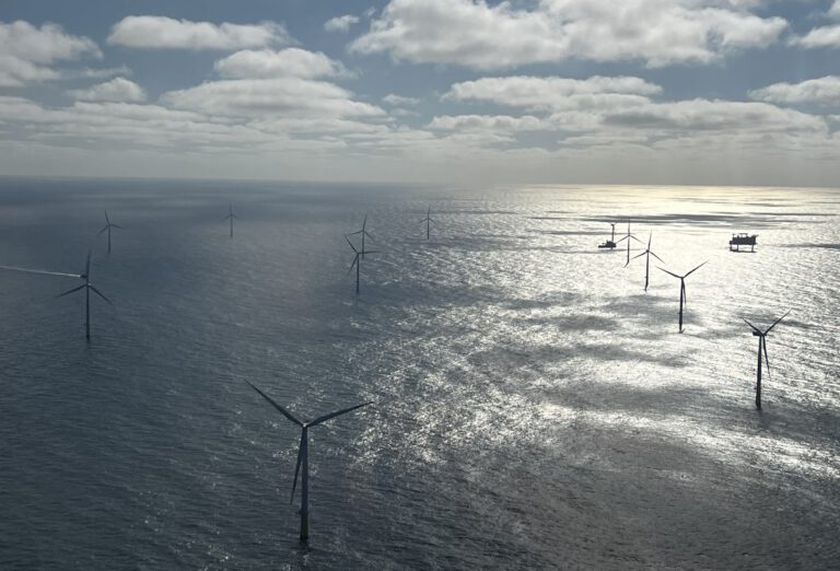 Grüner Wasserstoff aus Salzwasser: Lösen Mikroben das Problem?
