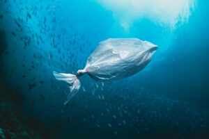 Plastikmüll im Mittelmeer: Selbst die tiefste Stelle ist betroffen