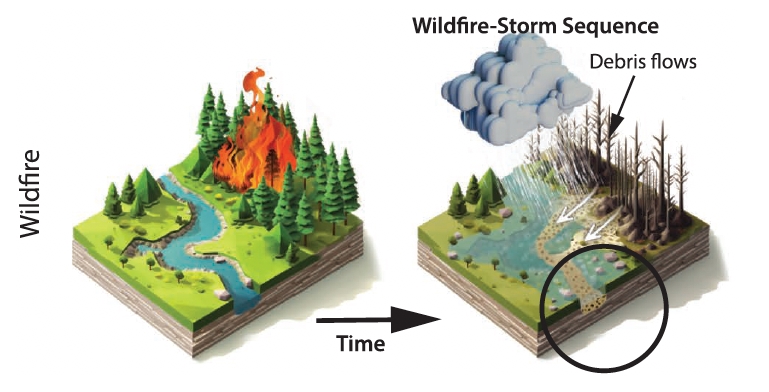 Waldbrände liefern eines der bekanntesten Beispiele für verkettete Naturgefahren: Nach einem Feuer fließen Wasser und Geröll leichter Hänge hinunter, da sie kaum noch von der Vegetation aufgehalten werden. Quelle: University of Michigan