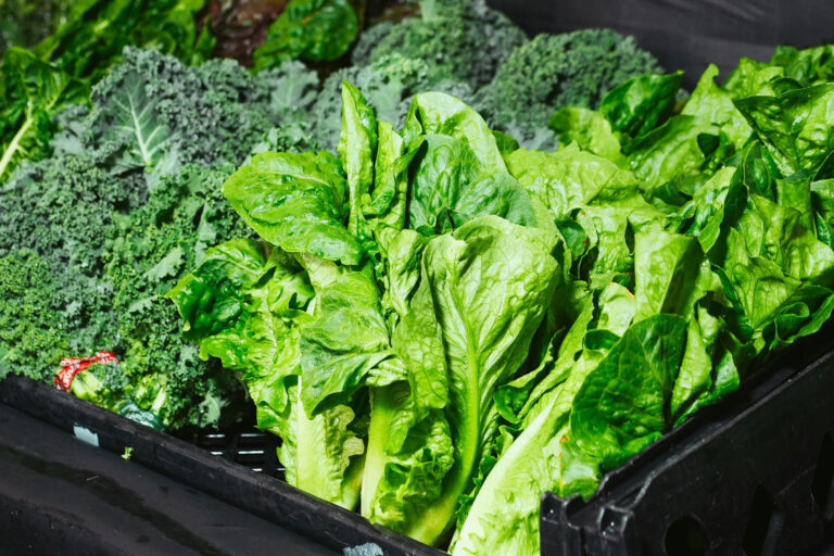 Klimawandel entzieht unserem Gemüse die Nährstoffe.