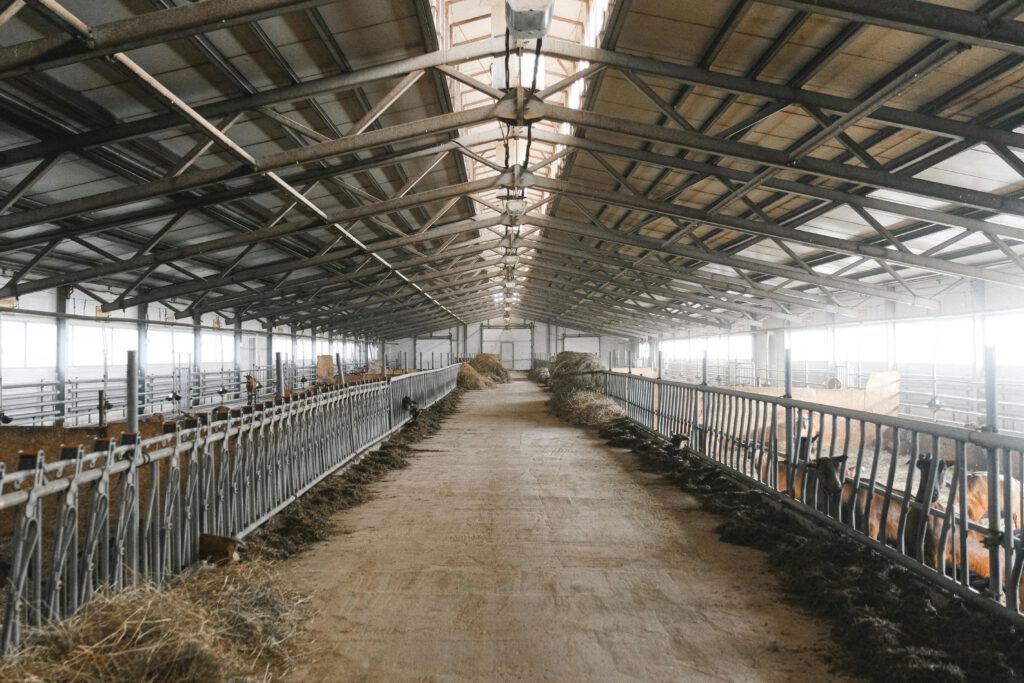 So macht Agrarstaub aus der Landwirtschaft den Darm krank
