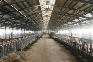 So macht Agrarstaub aus der Landwirtschaft den Darm krank