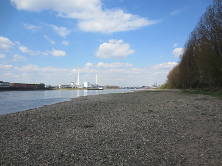 Rhein wird wärmer: Bis zu 4,2 Grad mehr durch Klimawandel