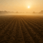 Gen-Analyse zeigt: Migration brachte Europas Landwirtschaft