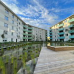 Mannheim spart 40 Prozent Wasser: Neubau zeigt, wie Städte Wasser wiederverwenden und sich besser gegen Hitze, Dürre und Starkregen wappnen.