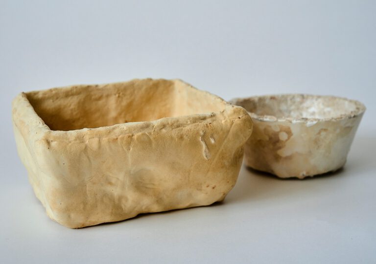 Material der Zukunft: Pilzmyzel ersetzt Plastik – und frisst Altkleider