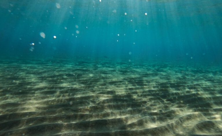 Forscher haben herausgefunden, dass Mikroben in Ozeansedimenten große Mengen Methan zurückhalten und so das Klima entlasten. © Wikimedia