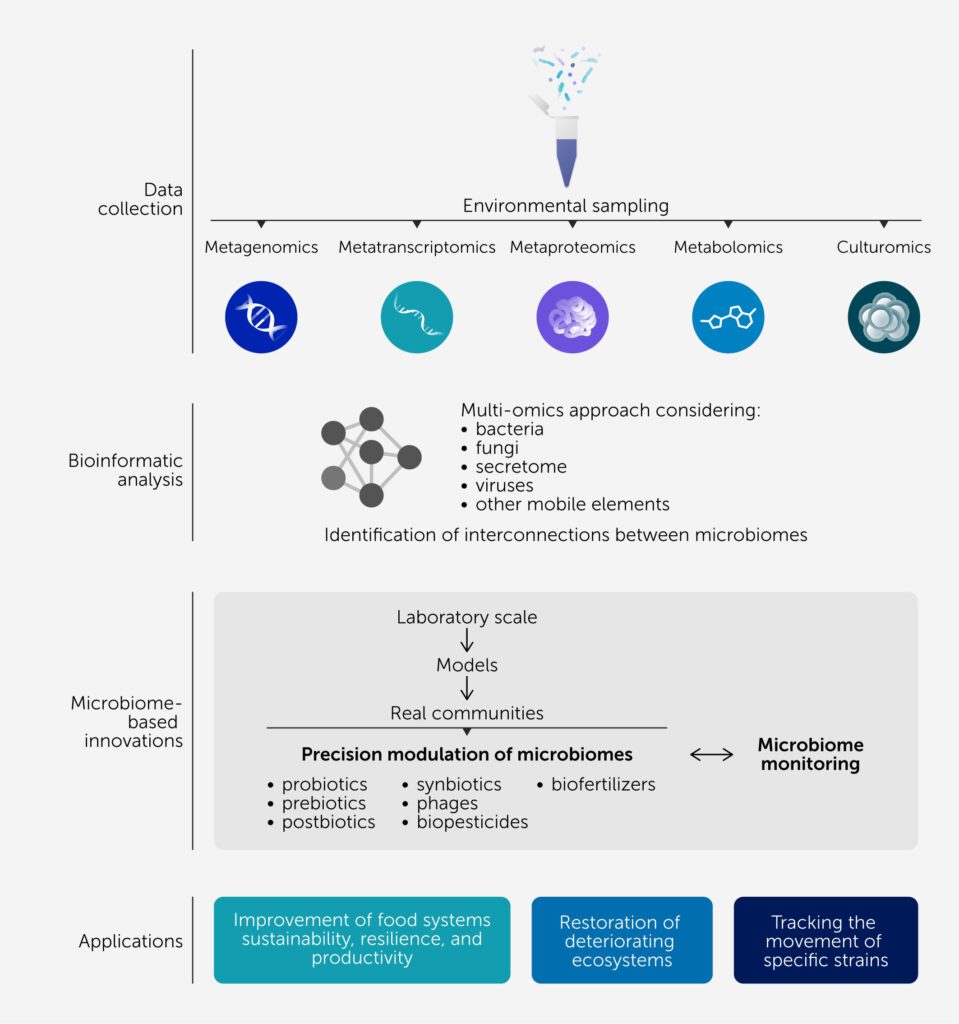 Die Grafik zeigt, wie Wissenschaftler mithilfe moderner Gen- und Molekularanalysen – sogenannter Omics-Methoden – Mikrobiome besser verstehen. Damit lassen sich mikrobielle Netzwerke von der Petrischale bis zur echten Umwelt erfassen, etwa in Böden, Tieren oder Lebensmitteln. Ziel ist es, gezielt in diese Netzwerke einzugreifen, um Pflanzen, Tiere und Menschen gesünder zu machen. © Frontiers in Science