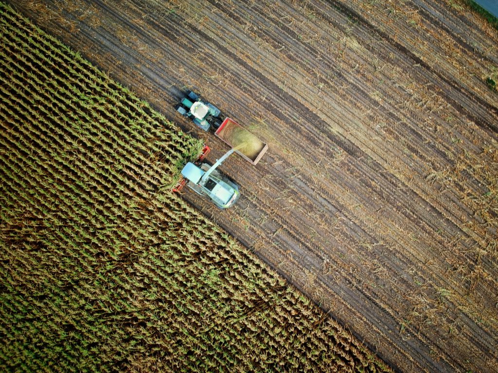 Plan gegen Lebensmittelverschwendung und Landdegradation