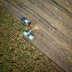 Plan gegen Lebensmittelverschwendung und Landdegradation