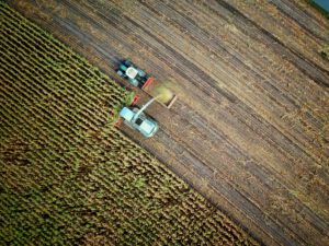 Plan gegen Lebensmittelverschwendung und Landdegradation