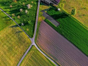 Neuartiger Superhumus regeneriert Böden und schützt das Klima