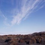 Geoengineering Arktis Antarktis