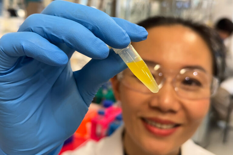 Augentropfen statt Spritze – Hoffnung bei AMD-Erblindung