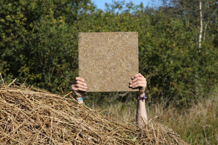 Neue Dachbegrünung aus Moorpflanzen stoppt Hitze und Flut