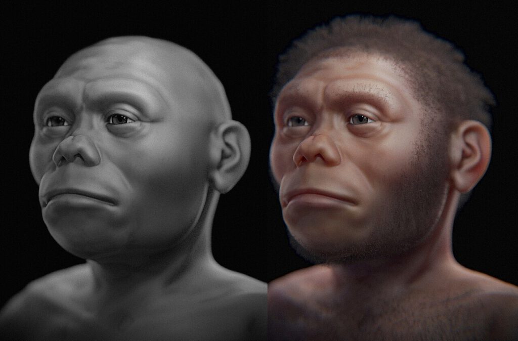 Homo floresiensis: Echte Hobbits mit Mini-Gehirnen waren schlau