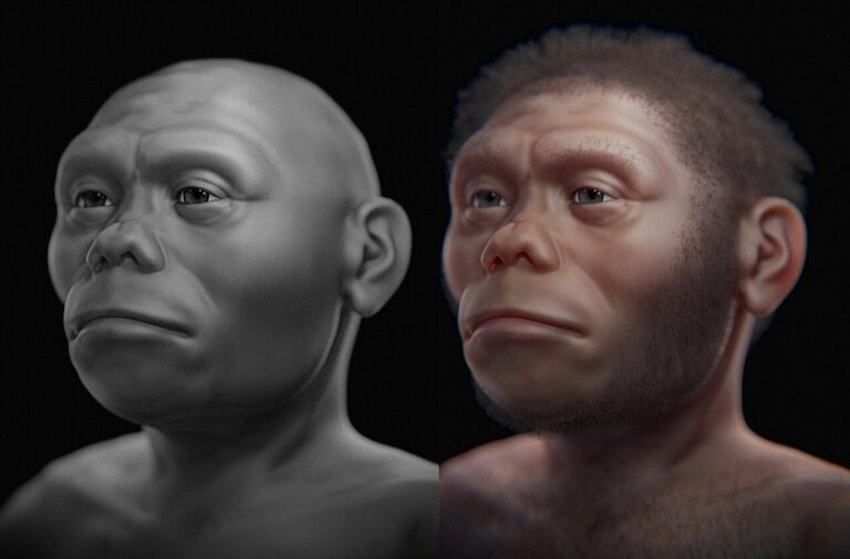 Homo floresiensis: Echte Hobbits mit Mini-Gehirnen waren schlau